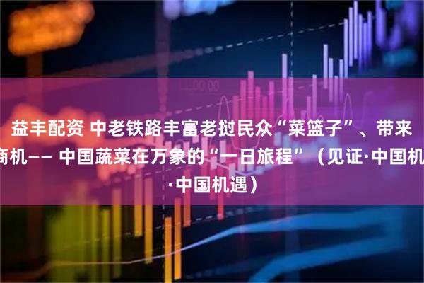 益丰配资 中老铁路丰富老挝民众“菜篮子”、带来新商机—— 中国蔬菜在万象的“一日旅程”（见证·中国机遇）