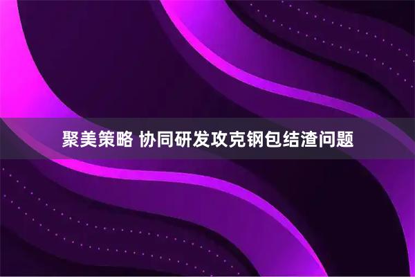 聚美策略 协同研发攻克钢包结渣问题
