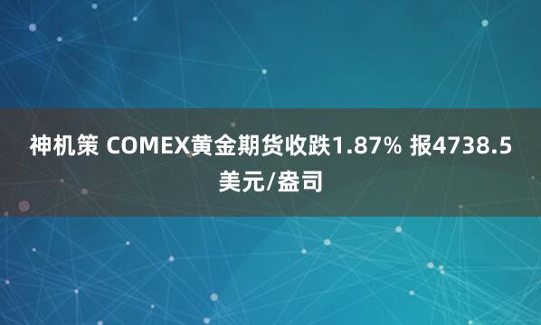 神机策 COMEX黄金期货收跌1.87% 报4738.5美元/盎司