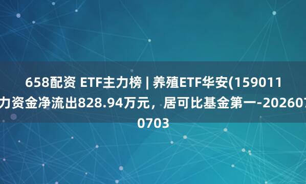 658配资 ETF主力榜 | 养殖ETF华安(159011)主力资金净流出828.94万元，居可比基金第一-20260703