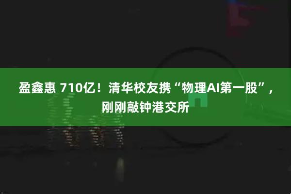 盈鑫惠 710亿！清华校友携“物理AI第一股”，刚刚敲钟港交所